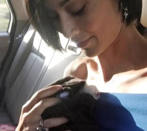 小猫出生那天被抛弃,被救后认为女子是妈妈,撒娇时简直不要太萌休闲区蓝鸢梦想 - Www.slyday.coM 小猫出生那天被抛弃,被救后认为女子是妈妈,撒娇时简直不要太萌休闲区蓝鸢梦想 - Www.slyday.coM