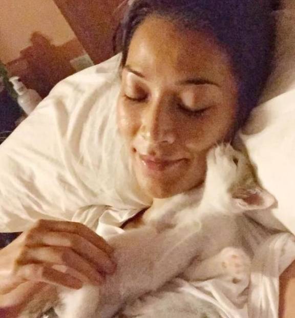 小猫出生那天被抛弃,被救后认为女子是妈妈,撒娇时简直不要太萌休闲区蓝鸢梦想 - Www.slyday.coM 小猫出生那天被抛弃,被救后认为女子是妈妈,撒娇时简直不要太萌休闲区蓝鸢梦想 - Www.slyday.coM