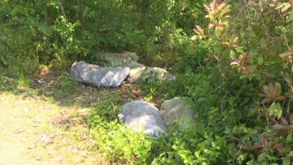 松江郊外发现多个装有蔬菜的编织袋被丢弃，相关部门已立案调查休闲区蓝鸢梦想 - Www.slyday.coM