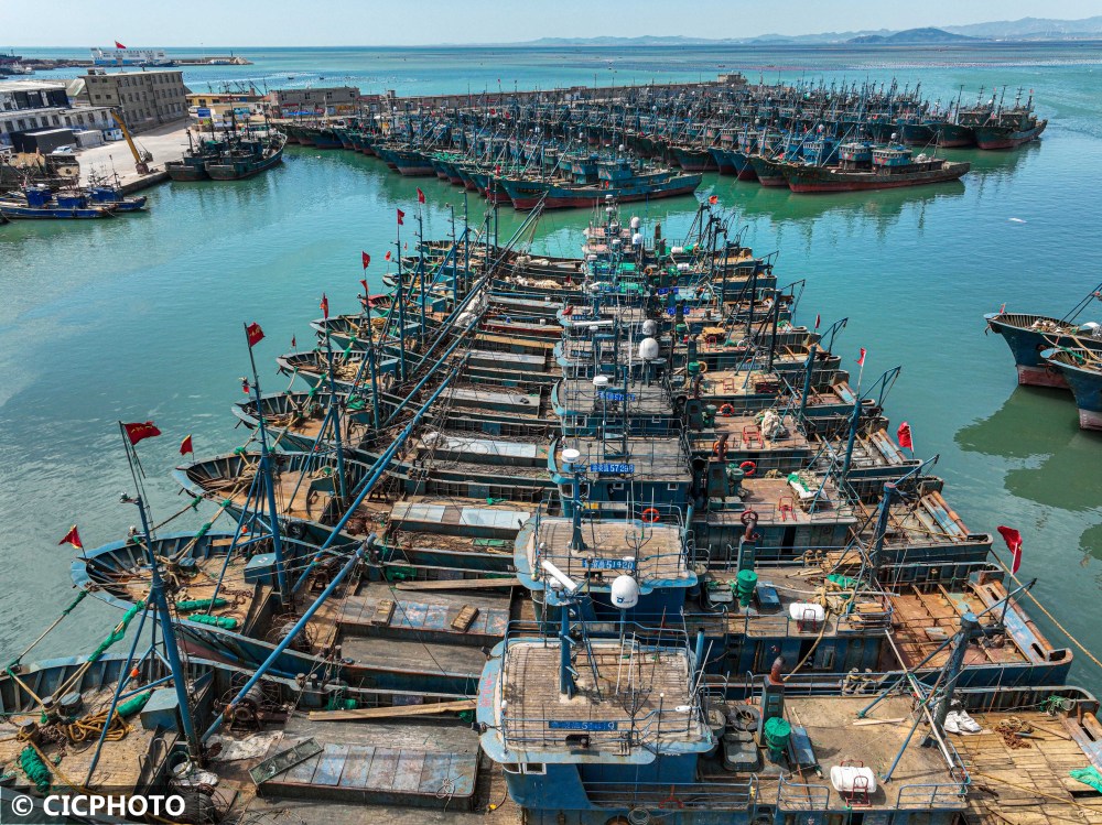 山东荣成1913艘应休渔渔船已停港休渔
