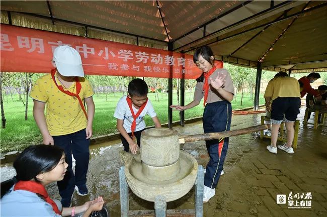 哇！9月起，中小学生要学煮饭炖汤、修家电、种菜养禽…休闲区蓝鸢梦想 - Www.slyday.coM