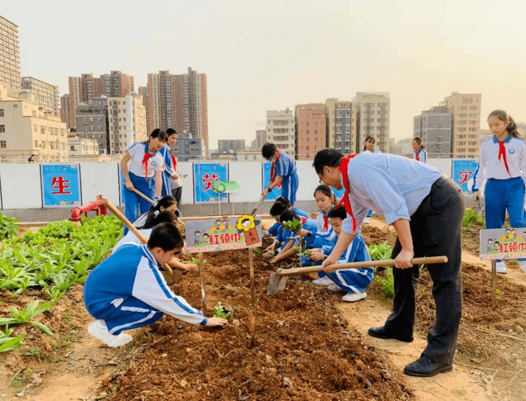 最新要求！9月起，中小学生都要学煮饭！休闲区蓝鸢梦想 - Www.slyday.coM