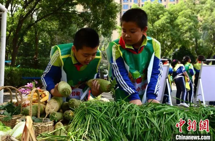 今年9月起，每个中小学生都要学煮饭、修家电、种菜休闲区蓝鸢梦想 - Www.slyday.coM