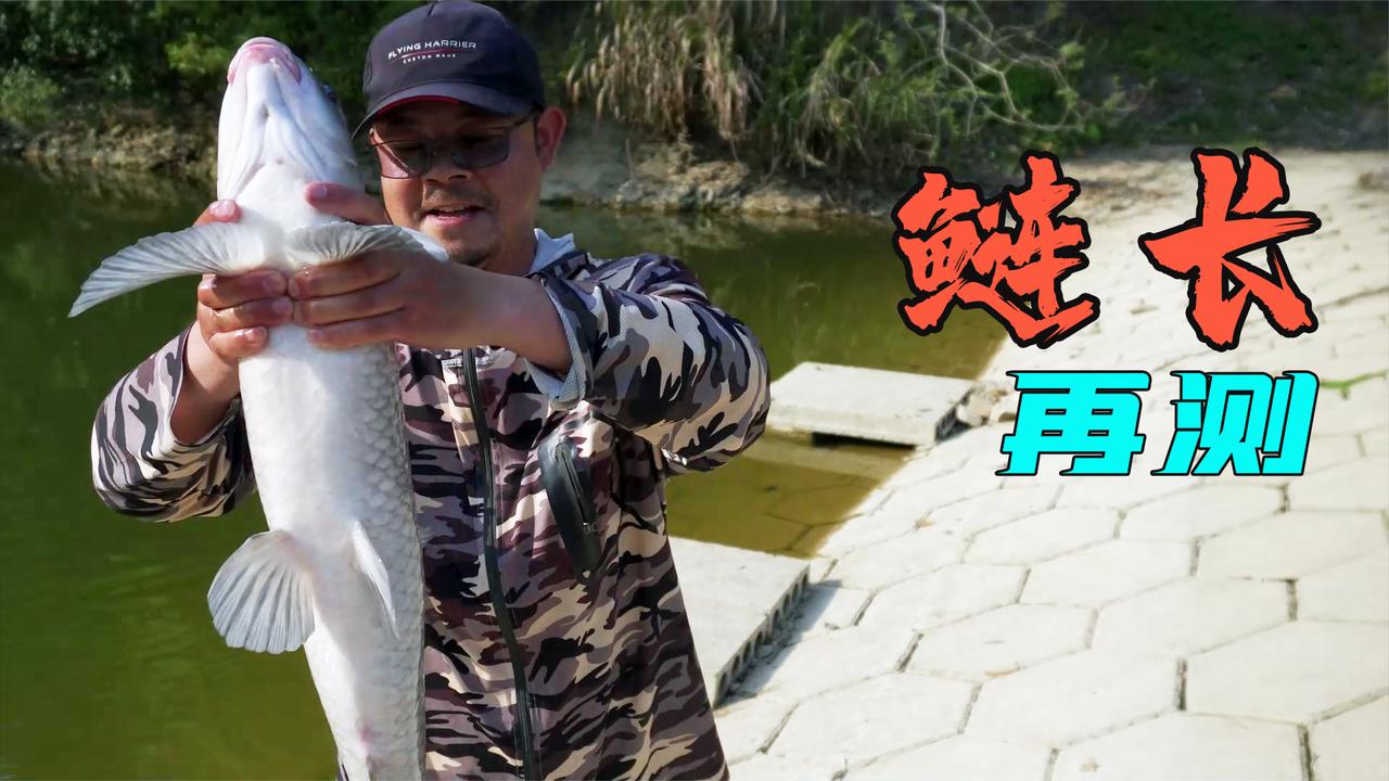 户外老曹的主页_新浪网