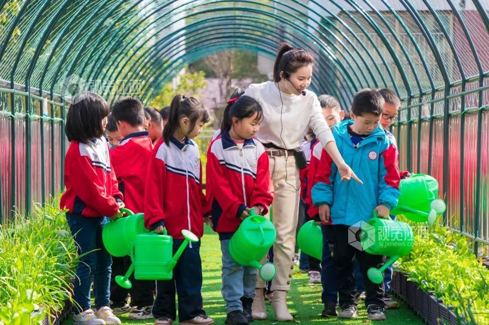 冲上热搜！教育部要求：9月起，中小学生要学煮饭！休闲区蓝鸢梦想 - Www.slyday.coM