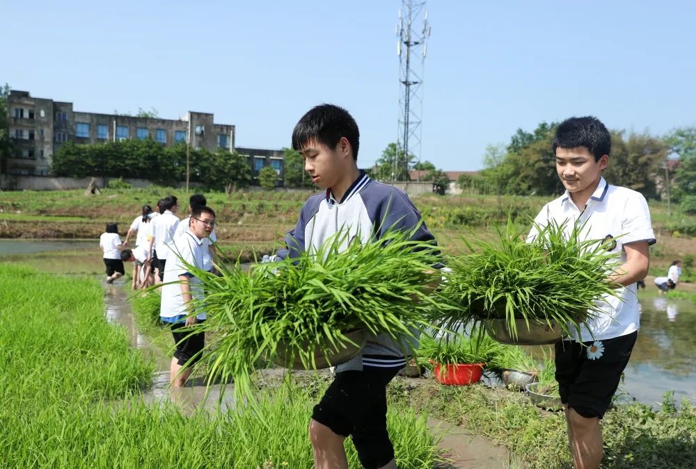 教育部设置独立劳动课程！今年9月起，每个孩子都要学煮饭......休闲区蓝鸢梦想 - Www.slyday.coM