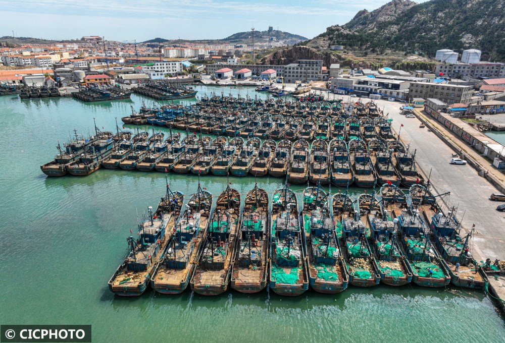 山东荣成1913艘应休渔渔船已停港休渔