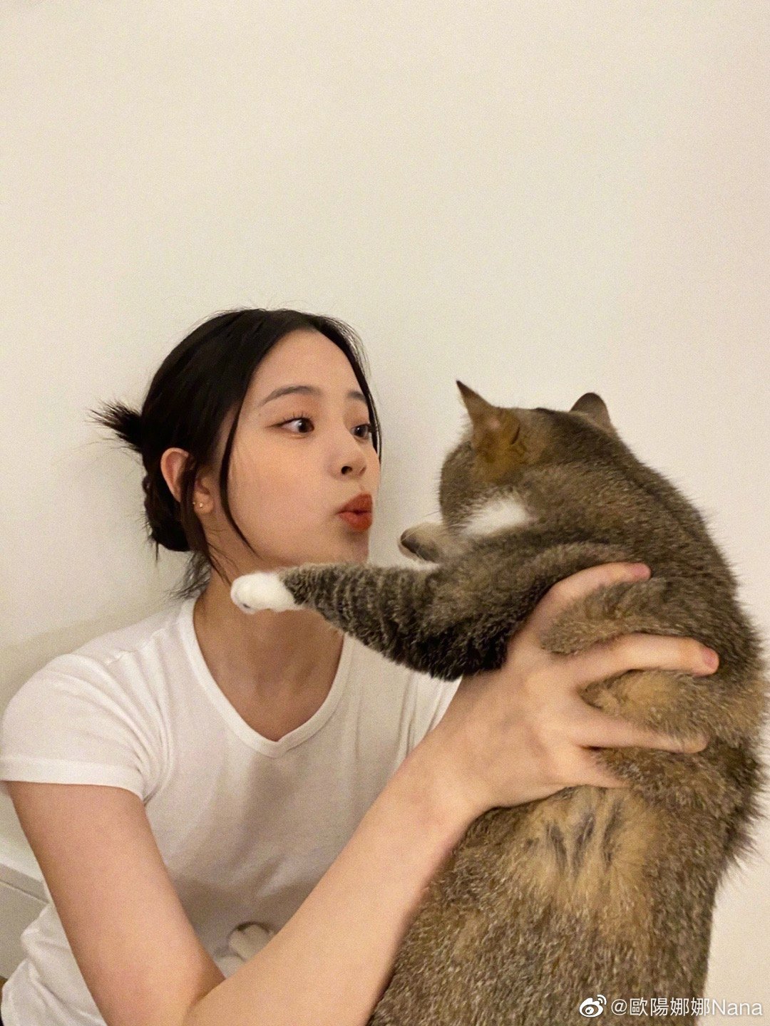 欧阳娜娜晒与猫合照sake真的好可爱