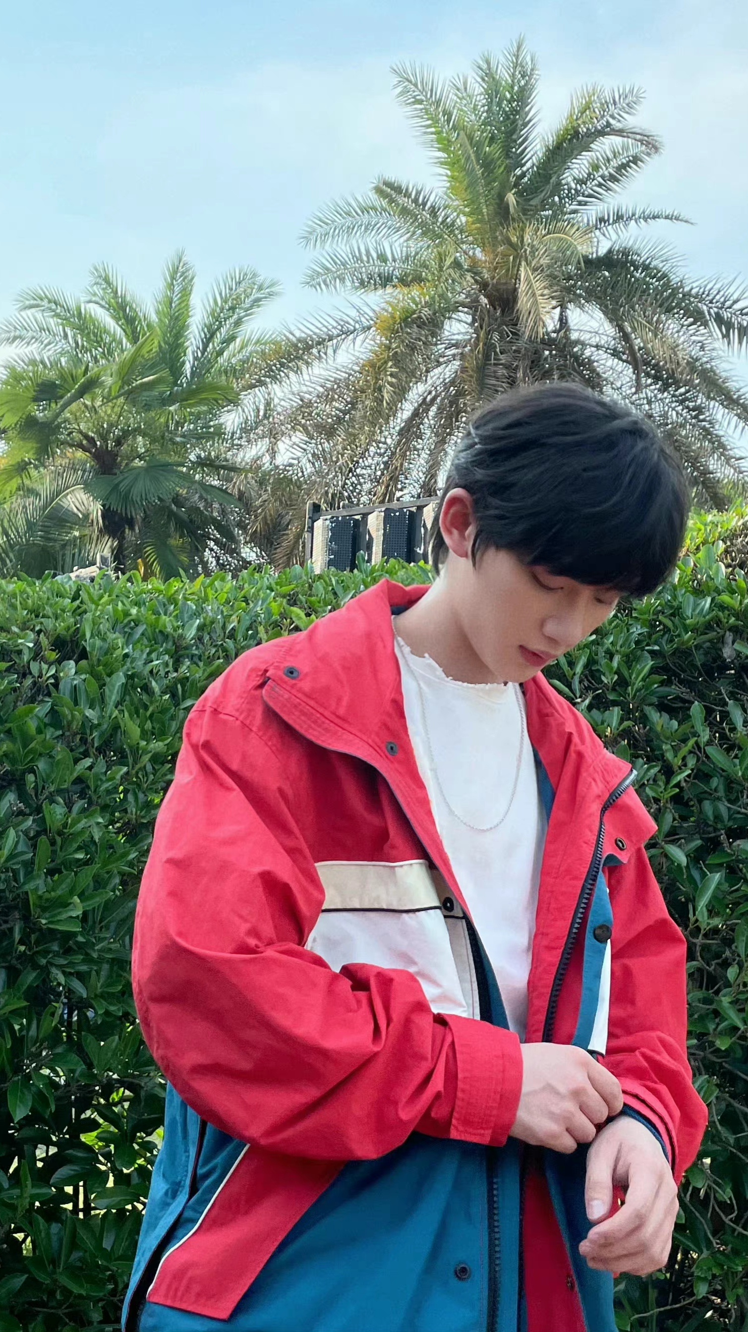 丁程鑫随拍4宫格放送立夏见小丁绿叶衬红衣