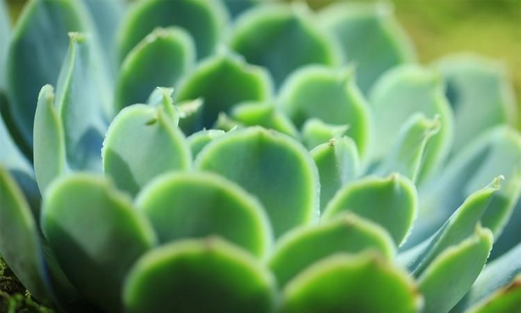 女子与男闺蜜出去旅游，回来后在雨里大哭，老公：离婚协议写好了休闲区蓝鸢梦想 - Www.slyday.coM