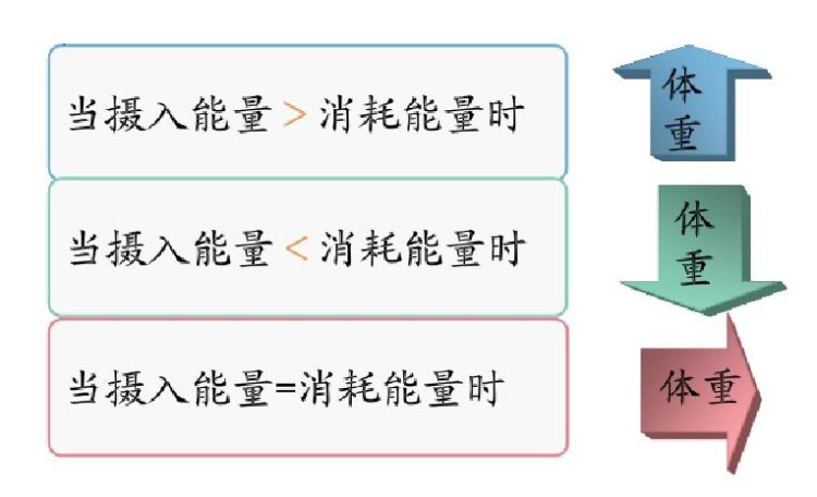 为什么变胖容易胖肚子?如何减掉腹部脂肪,让腹部变平坦?休闲区蓝鸢梦想 - Www.slyday.coM 为什么变胖容易胖肚子?如何减掉腹部脂肪,让腹部变平坦?休闲区蓝鸢梦想 - Www.slyday.coM