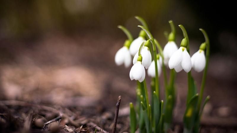 女子与男闺蜜出去旅游，回来后在雨里大哭，老公：离婚协议写好了休闲区蓝鸢梦想 - Www.slyday.coM