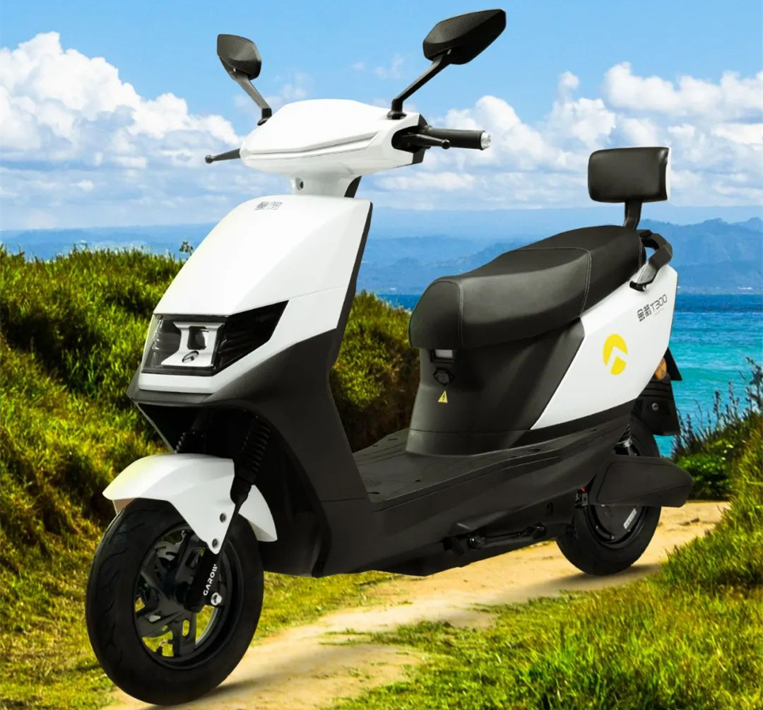 金箭推出锐航t300,炫酷外观,1000w电机,主打动力与续航-新浪汽车