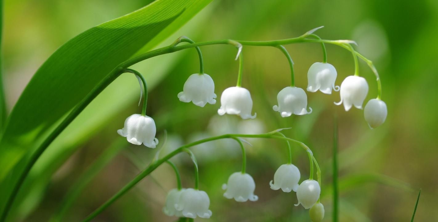 女子与男闺蜜出去旅游，回来后在雨里大哭，老公：离婚协议写好了休闲区蓝鸢梦想 - Www.slyday.coM
