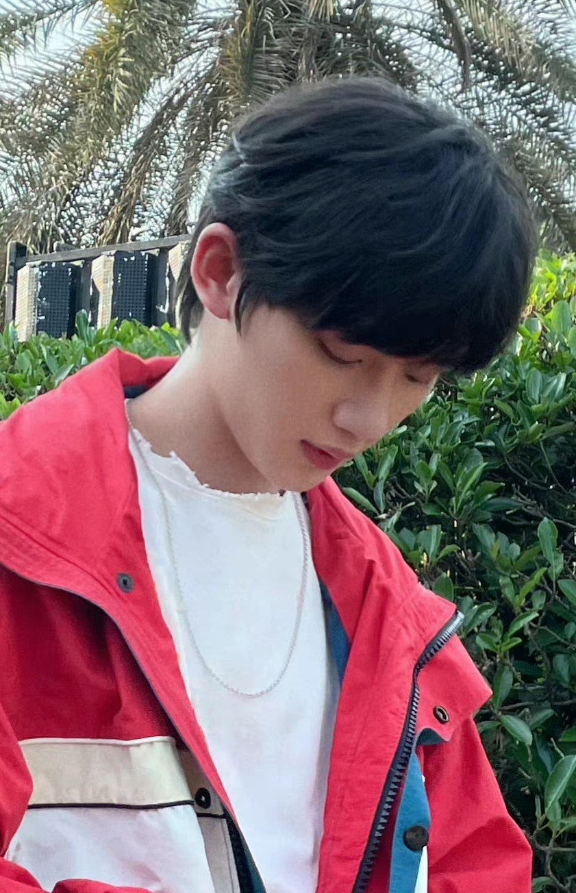 丁程鑫随拍4宫格放送立夏见小丁绿叶衬红衣