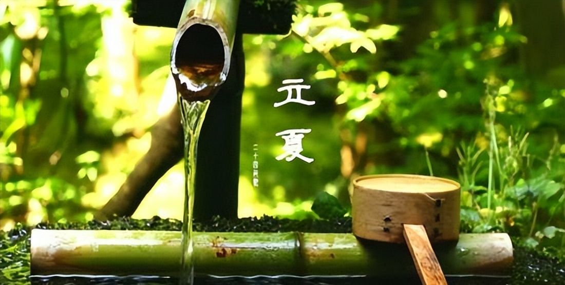 立夏已过,农村俗语“立夏尝三鲜,健康一整年”,指的是什么呢?