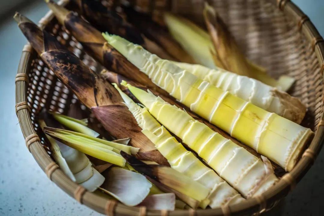 竹笋 摄影:粗盐 来源:情调苏州