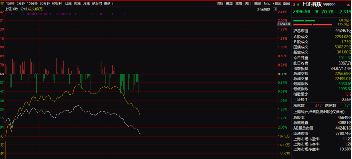 “啥情况！沪指失守3000点，多股“20cm”跌停，安防巨头接连暴跌，恒指考验2万点…