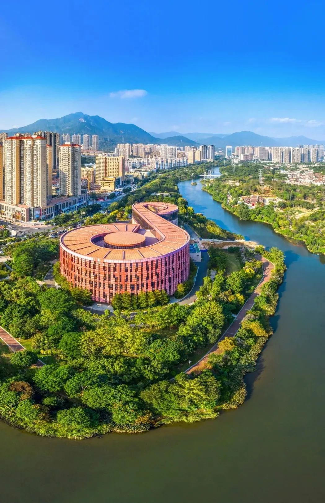 荔枝红莆田最美的城市底色