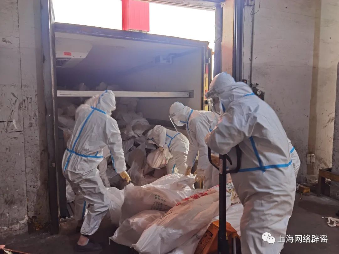 新疆捐赠给宝山的羊肉去哪儿了？浦锦街道发放物资有问题？有人造谣被罚！休闲区蓝鸢梦想 - Www.slyday.coM