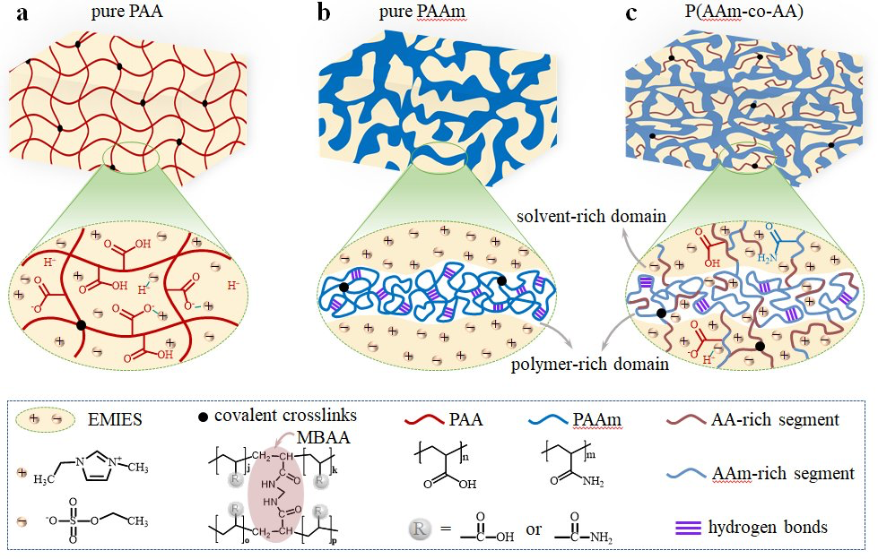 䧳二醇凝胶在手术子宫前涂在什么部位起什么做用?