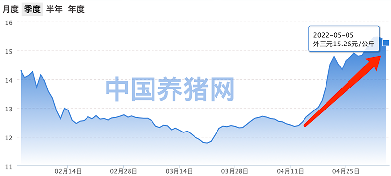 “猪企要熬出头了？4月生猪市场“涨”声一片！