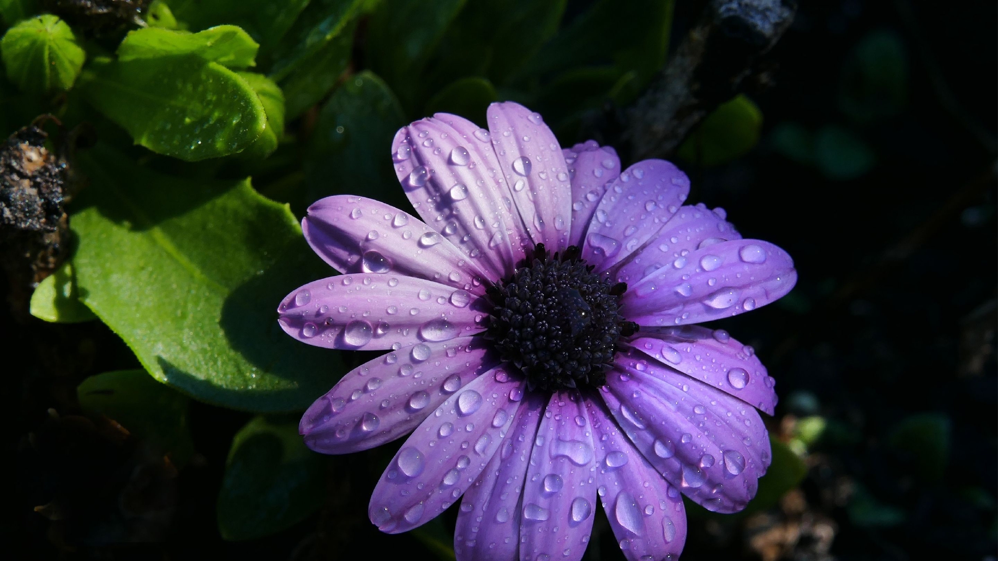 5月8日14日星座运势当机立断稳扎稳打的四大星座