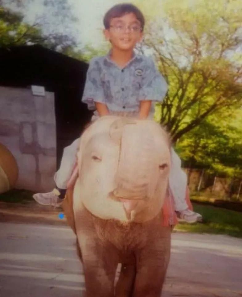 陈乔恩为小象莫莉发声冲上热搜!网友心疼:请救救我们的全民公主休闲区蓝鸢梦想 - Www.slyday.coM 陈乔恩为小象莫莉发声冲上热搜!网友心疼:请救救我们的全民公主休闲区蓝鸢梦想 - Www.slyday.coM