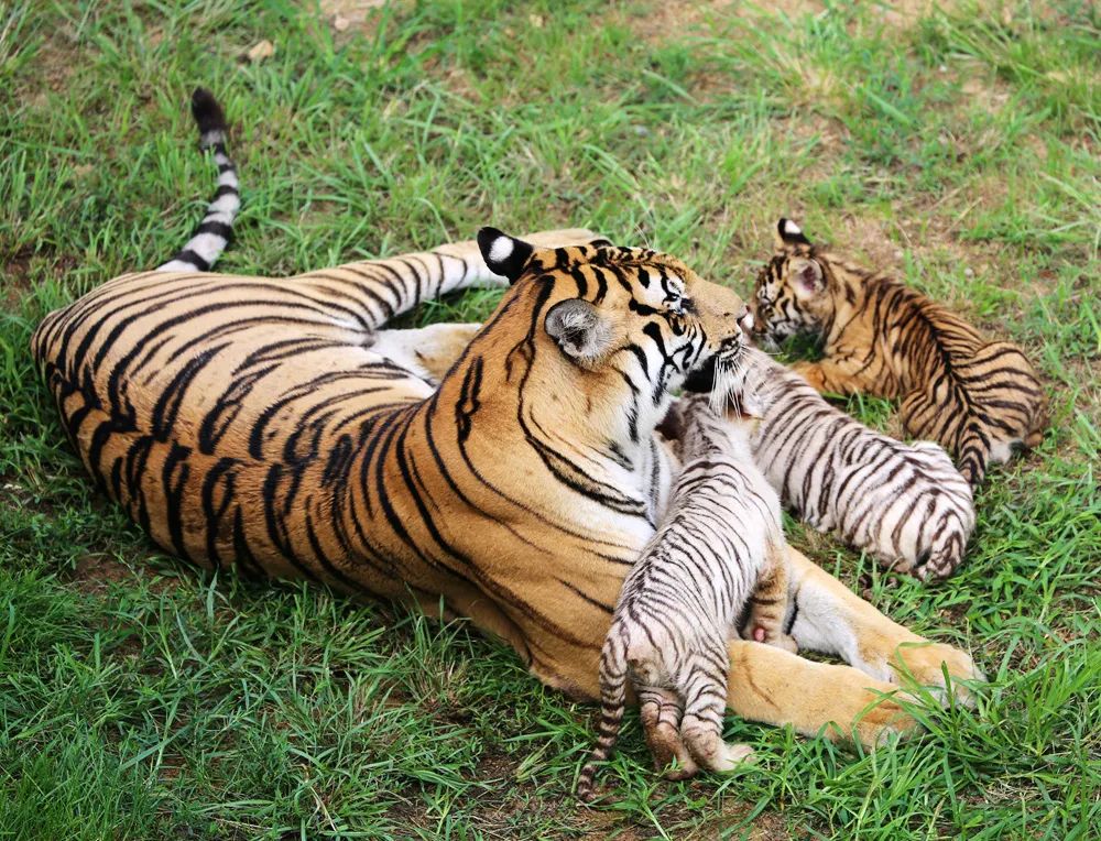 她才是山东最不该被遗忘的海滨小城！休闲区蓝鸢梦想 - Www.slyday.coM