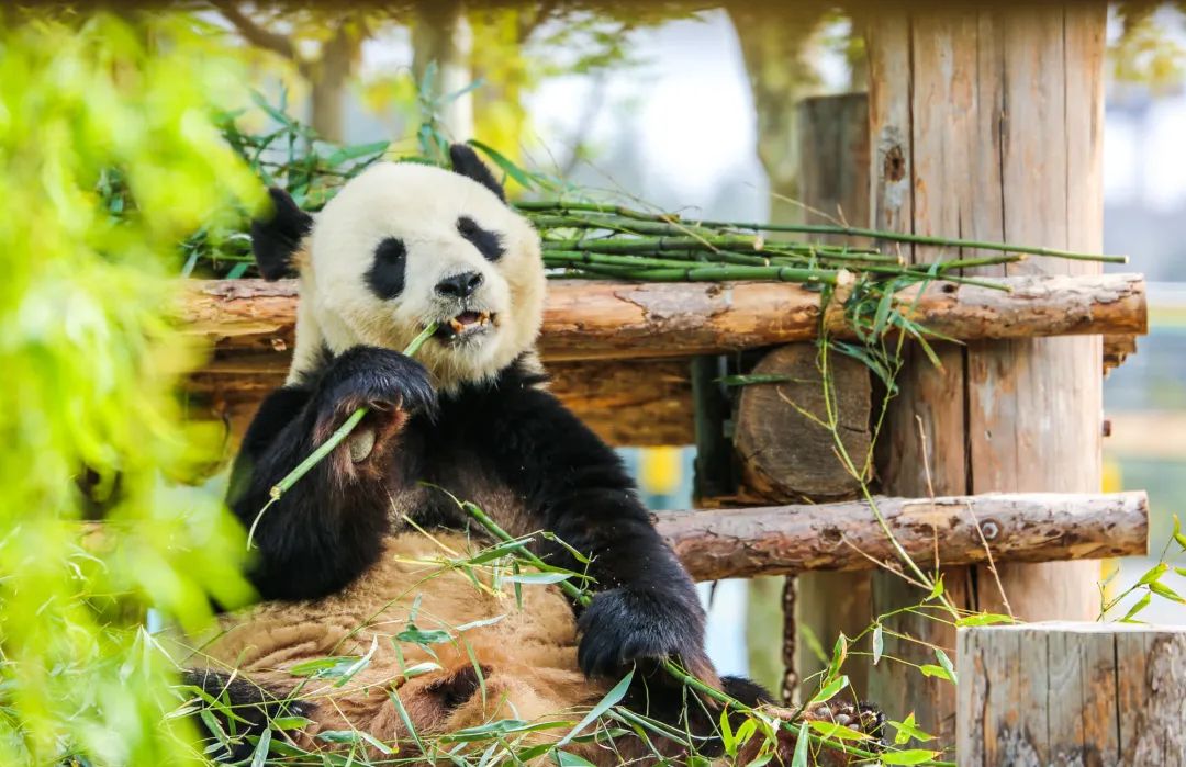 她才是山东最不该被遗忘的海滨小城！休闲区蓝鸢梦想 - Www.slyday.coM
