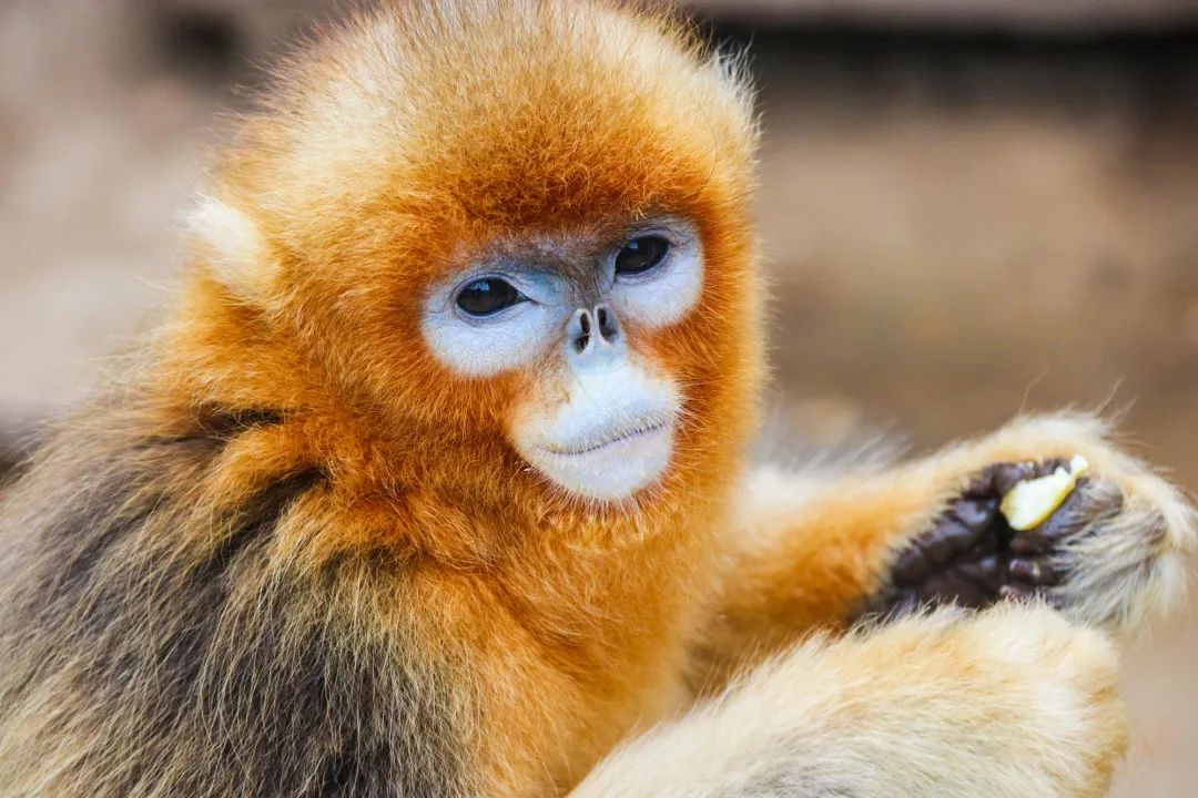 她才是山东最不该被遗忘的海滨小城！休闲区蓝鸢梦想 - Www.slyday.coM