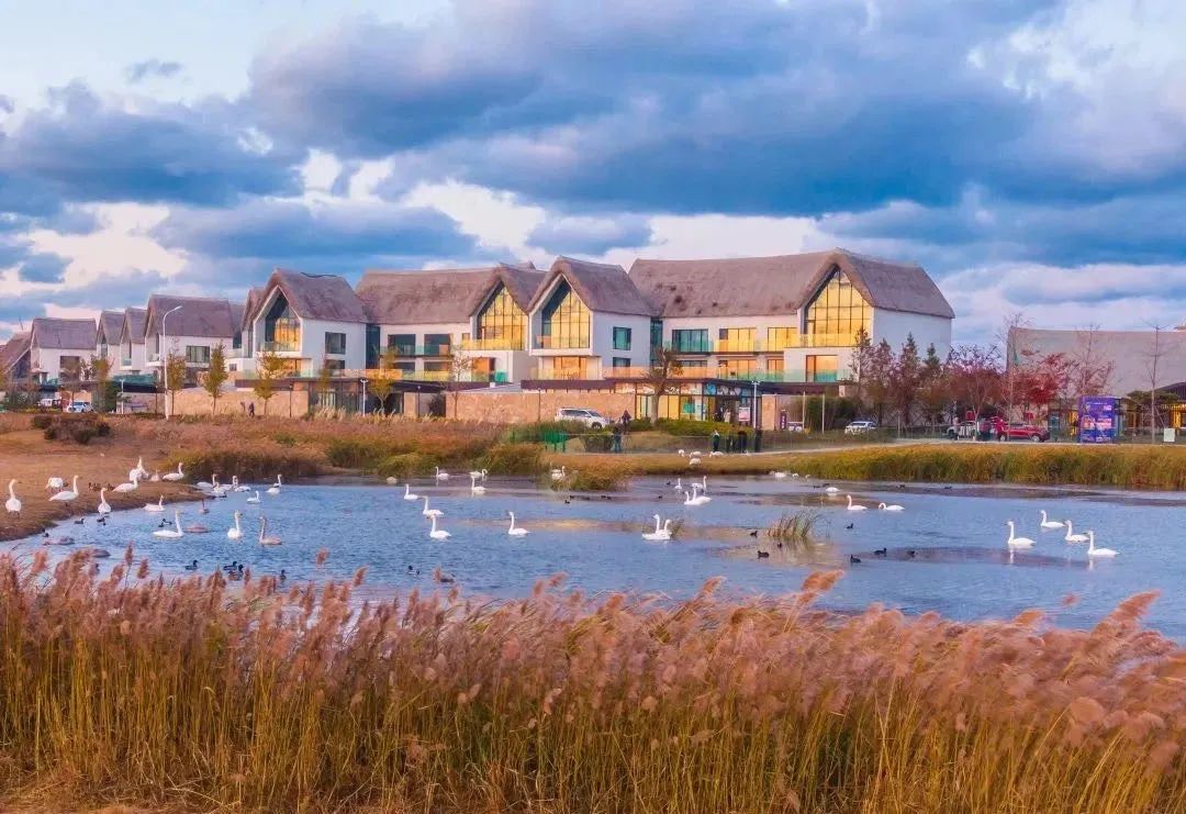 她才是山东最不该被遗忘的海滨小城！休闲区蓝鸢梦想 - Www.slyday.coM