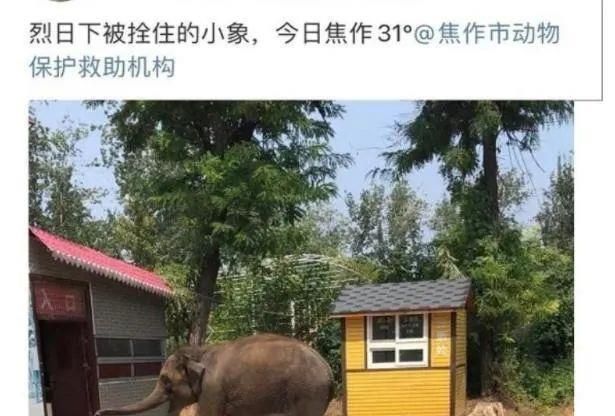 陈乔恩为小象莫莉发声冲上热搜!网友心疼:请救救我们的全民公主休闲区蓝鸢梦想 - Www.slyday.coM 陈乔恩为小象莫莉发声冲上热搜!网友心疼:请救救我们的全民公主休闲区蓝鸢梦想 - Www.slyday.coM