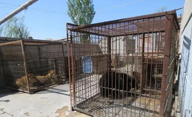 陈乔恩为小象莫莉发声冲上热搜!网友心疼:请救救我们的全民公主休闲区蓝鸢梦想 - Www.slyday.coM 陈乔恩为小象莫莉发声冲上热搜!网友心疼:请救救我们的全民公主休闲区蓝鸢梦想 - Www.slyday.coM