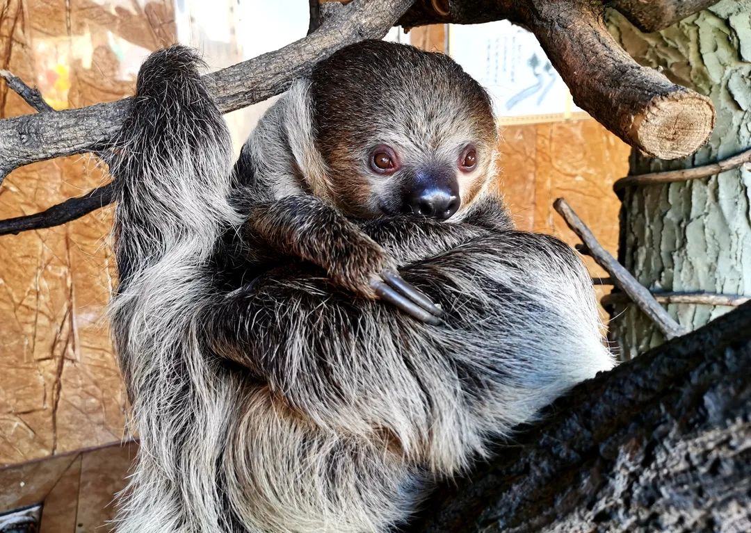 她才是山东最不该被遗忘的海滨小城！休闲区蓝鸢梦想 - Www.slyday.coM