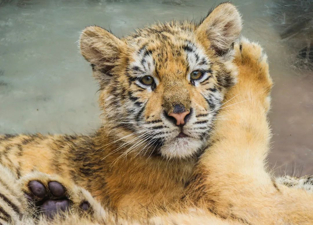 她才是山东最不该被遗忘的海滨小城！休闲区蓝鸢梦想 - Www.slyday.coM