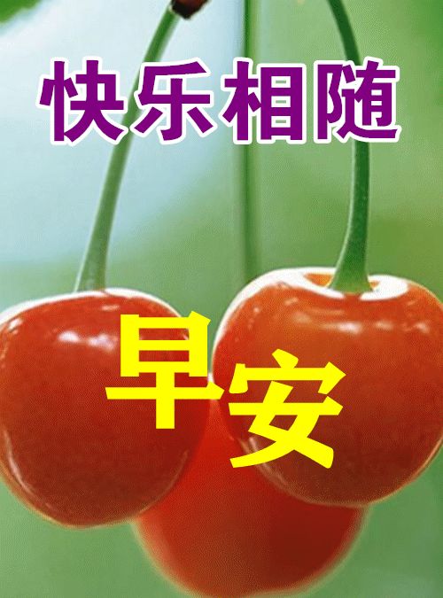 8张免打字就可以聊天的早上好动画表情图片问候祝福语图片精选