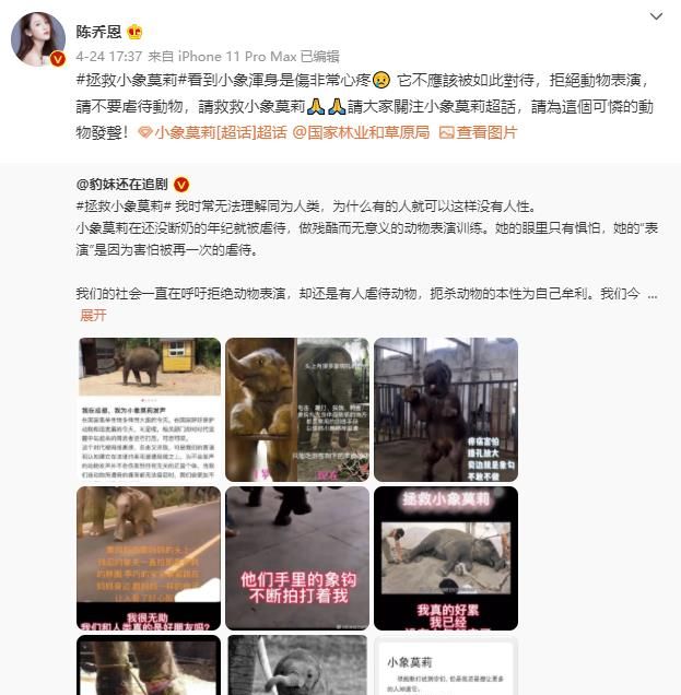 陈乔恩为小象莫莉发声冲上热搜!网友心疼:请救救我们的全民公主休闲区蓝鸢梦想 - Www.slyday.coM 陈乔恩为小象莫莉发声冲上热搜!网友心疼:请救救我们的全民公主休闲区蓝鸢梦想 - Www.slyday.coM