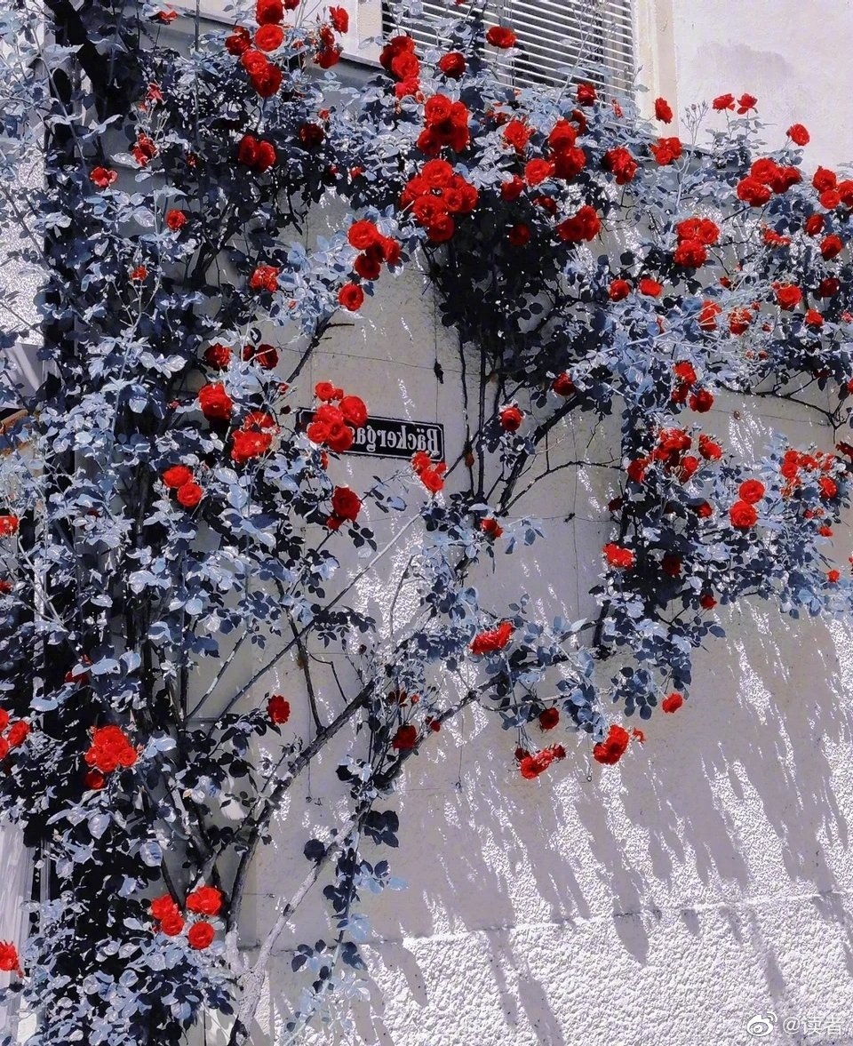 一直都觉得，给一个女孩子足够的安全感，这是你喜欢她的时候……休闲区蓝鸢梦想 - Www.slyday.coM