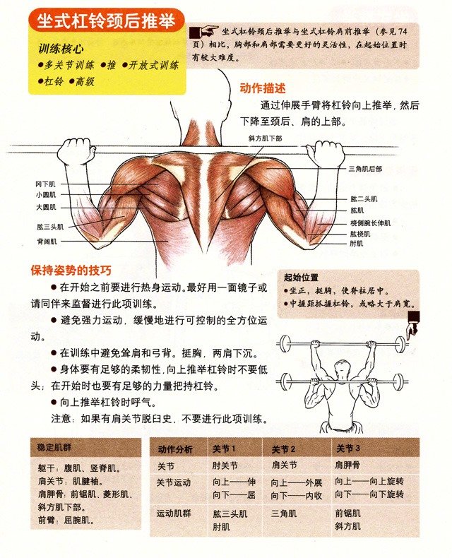 坐式杠铃颈后推举|杠铃|肩部|胸部_新浪新闻