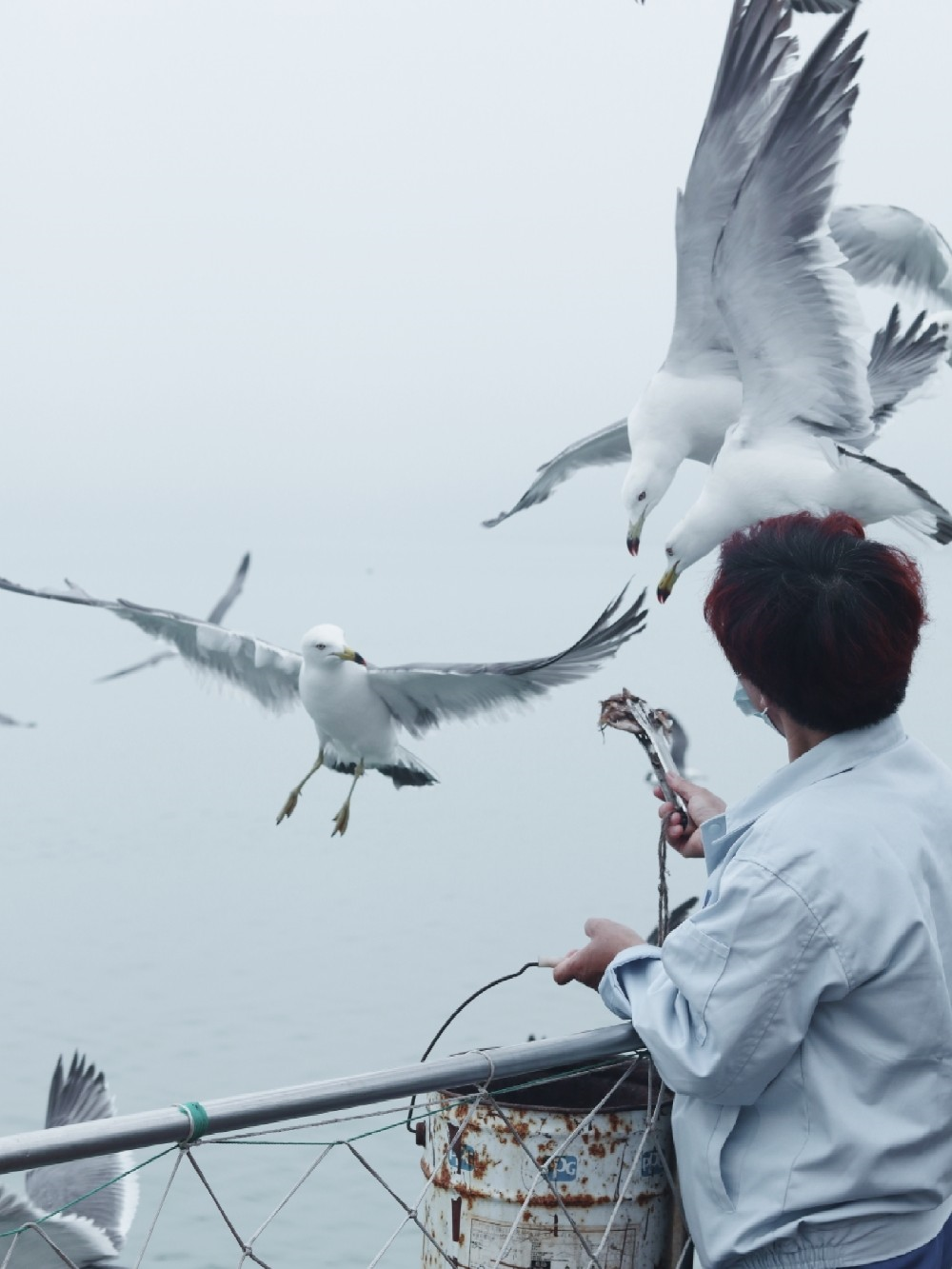 她才是山东最不该被遗忘的海滨小城！休闲区蓝鸢梦想 - Www.slyday.coM