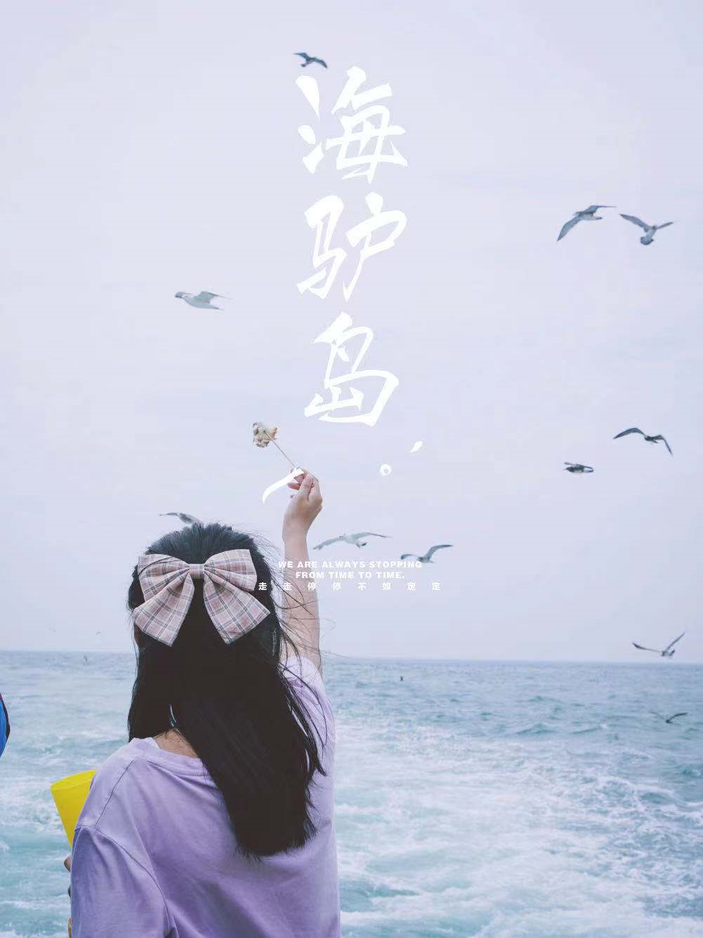 她才是山东最不该被遗忘的海滨小城！休闲区蓝鸢梦想 - Www.slyday.coM