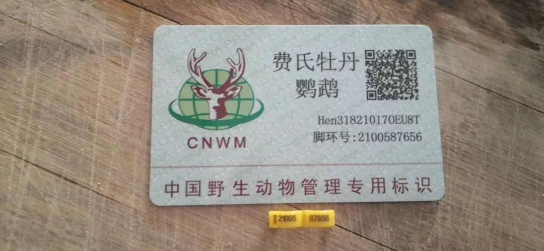 买卖人工繁育野生动物不犯罪了野外的动物该害怕了