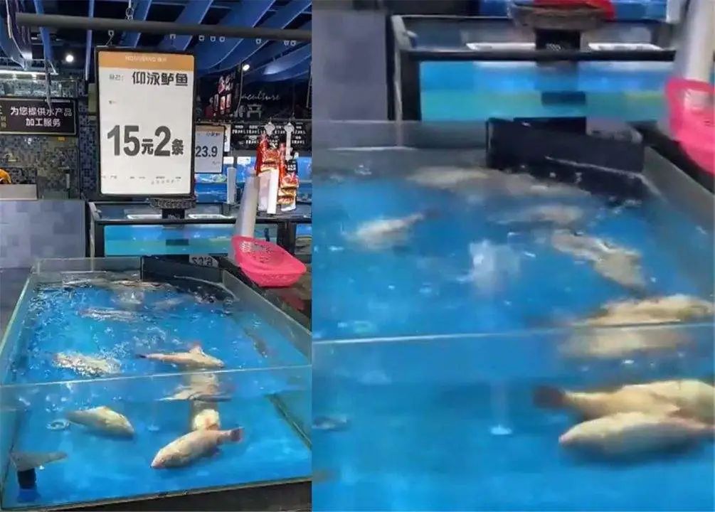 买土豆，脆的面的差别太大了！颜色不同口感也不同，10个人里9个买错！休闲区蓝鸢梦想 - Www.slyday.coM