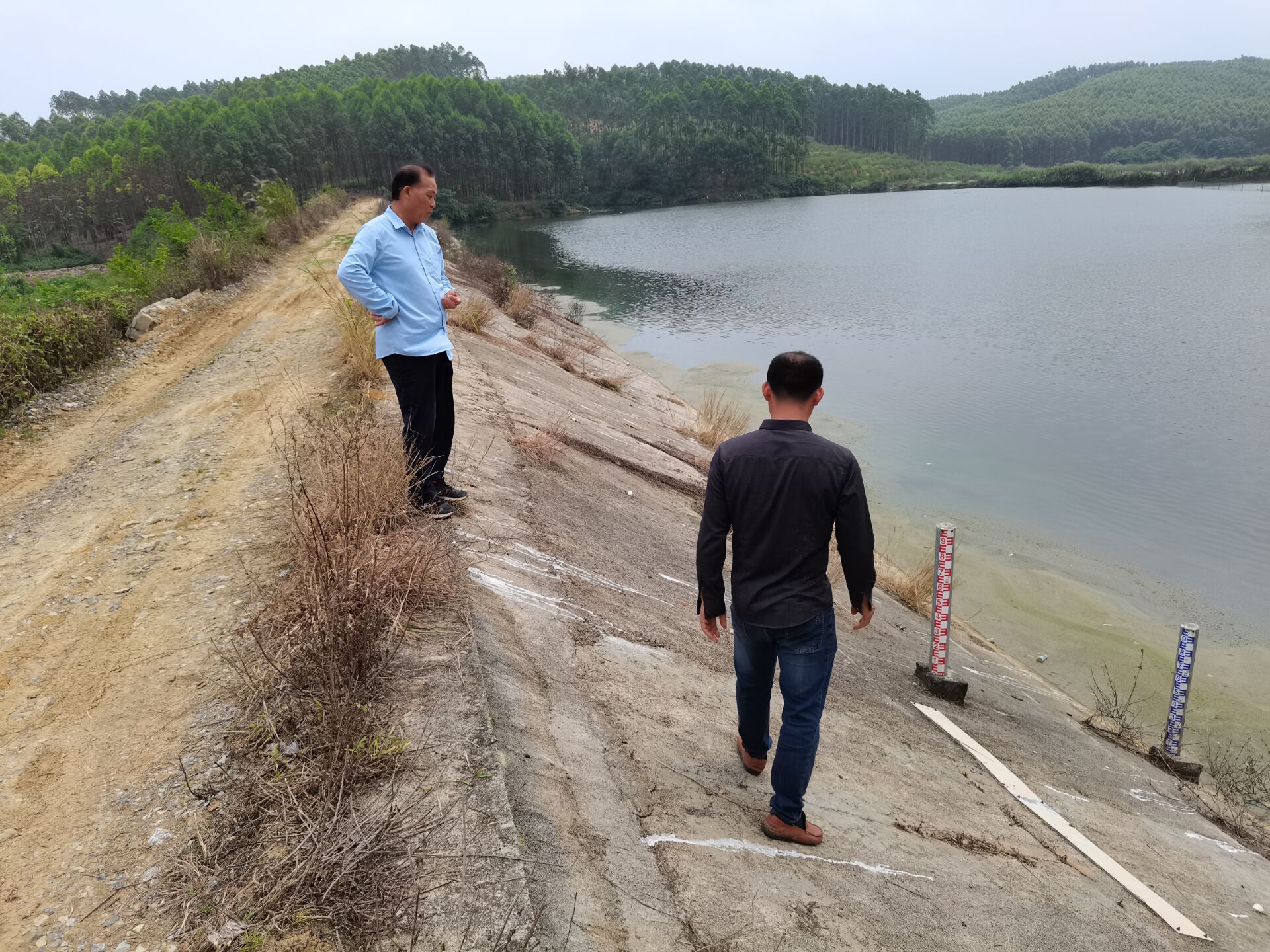 武鸣区仙湖镇闻"汛"而动 全力推进防汛备汛工作|防汛|南宁市_新浪新闻