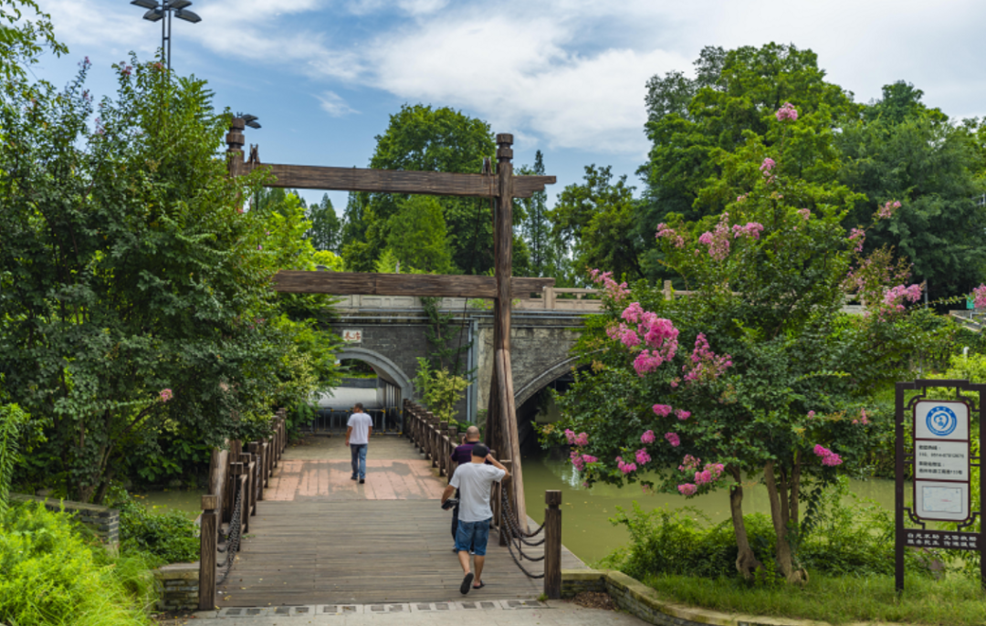 扬州彩·五颜六色扬州初夏的彩色,包罗万象这一份彩色是田间的小花