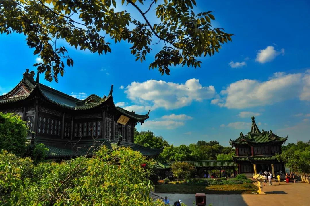 扬州彩·五颜六色扬州初夏的彩色,包罗万象这一份彩色是田间的小花