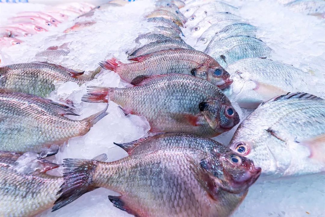 买土豆，脆的面的差别太大了！颜色不同口感也不同，10个人里9个买错！休闲区蓝鸢梦想 - Www.slyday.coM