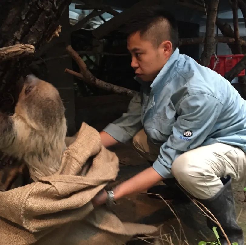 为什么我们难以救助“小象莫莉们”？休闲区蓝鸢梦想 - Www.slyday.coM