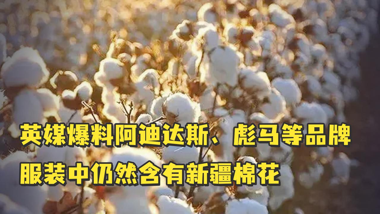 英媒爆料阿迪达斯,彪马等品牌服装中仍然含有新疆棉花__财经头条